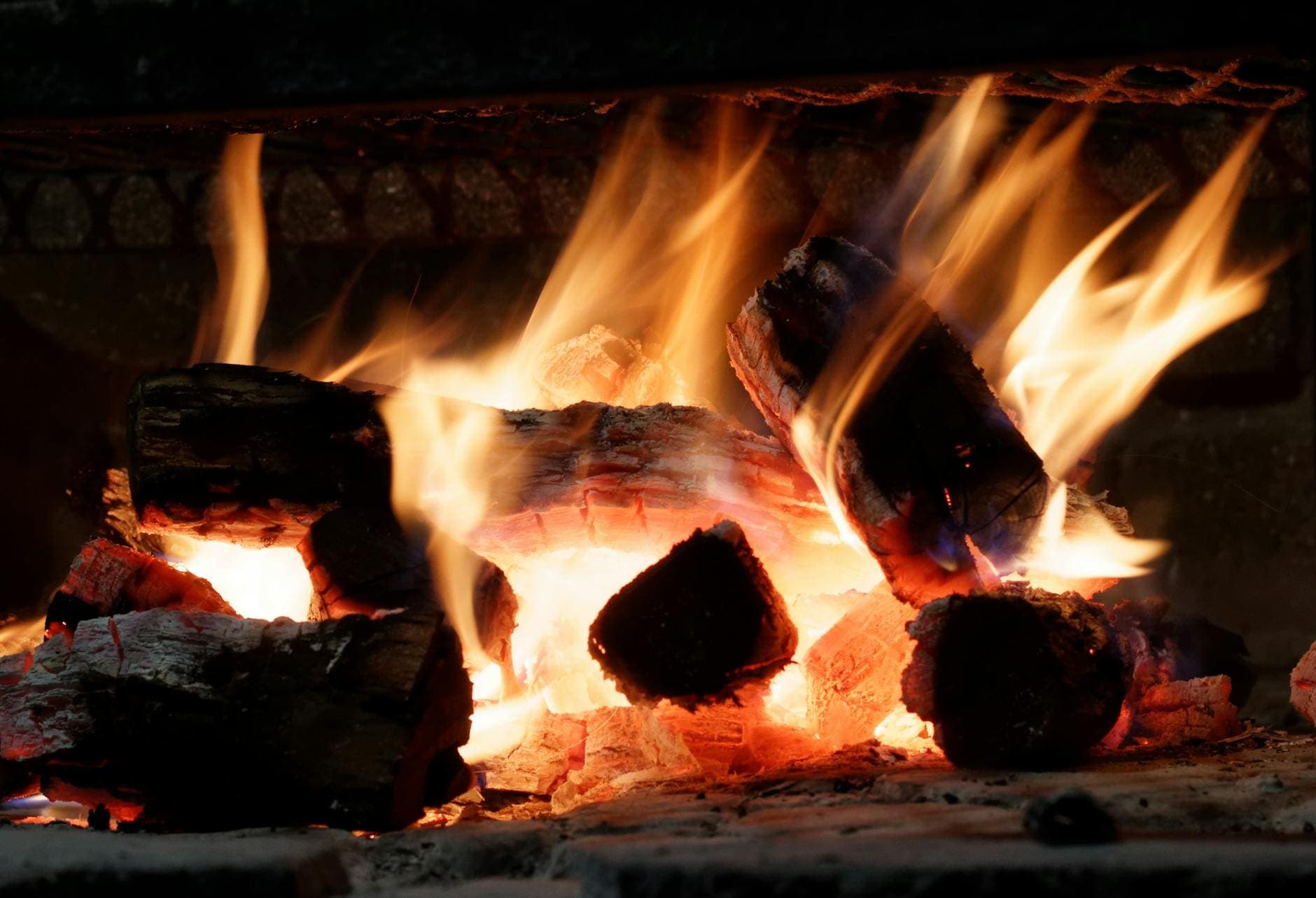 Kiln Dried vs Seasoned Logs: What's the Difference?